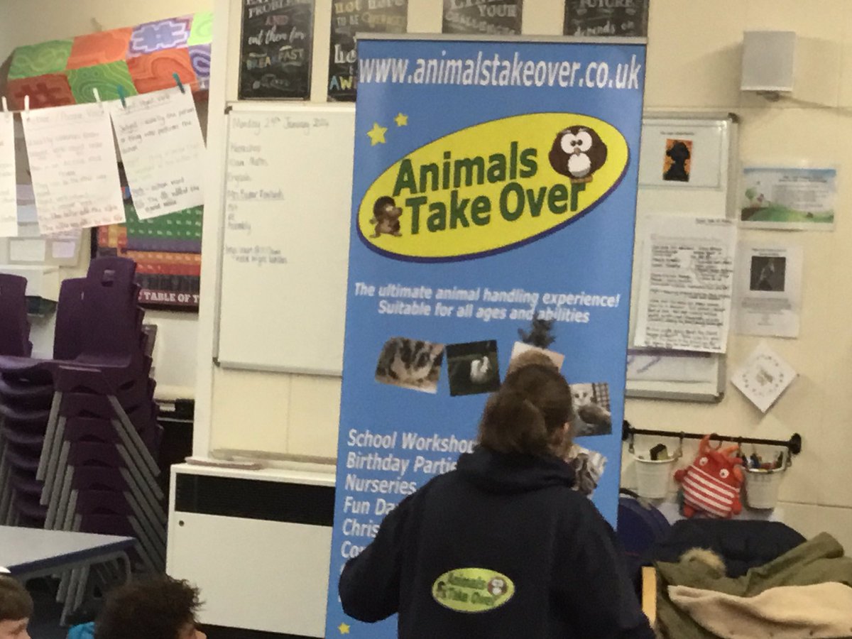 HighLeghPrimary's tweet image. Lots of hands on in our workshop today 🐍🐸🐌 @AnimalsTakeOver thank you Lindsay
