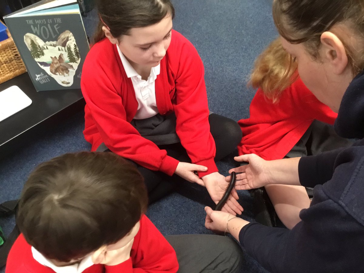 HighLeghPrimary's tweet image. Lots of hands on in our workshop today 🐍🐸🐌 @AnimalsTakeOver thank you Lindsay