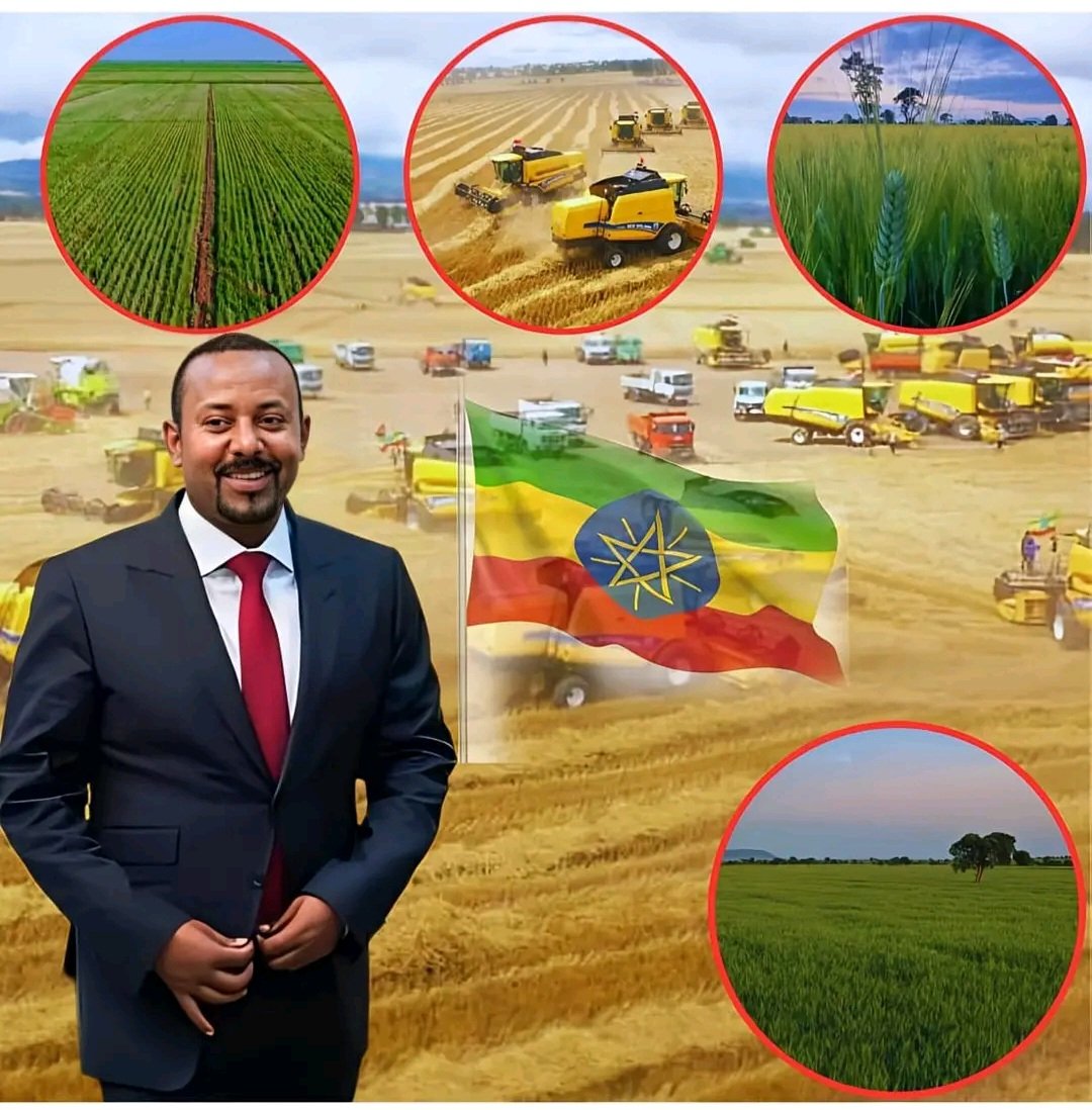 ኢትዮጵያ በስንዴ ምርት ራሷን የመቻል አላማን እውን ማድረግ ተችሏል! ከእንግዲህ ኢትዮጵያ ለዕርዳታ ሳይሆን ለመትረፍ ነው እጆቿን የምትዘረጋው! <a href="/ALEMAYEHUTEGENU/">ALEMAYEHU TEGENU</a> <a href="/SuleimanDedefo/">Suleiman Dedefo</a> <a href="/kelemua_balcha/">Kelem.B</a> <a href="/Sabi92409431/">Saba Shiferaw 🇪🇹(Abiy Ahmed Ali will lead )</a> @EphremA86988691 <a href="/EthioJourney/">Zerihun Megersa 🇪🇹</a> <a href="/nafyadwakjira3/">𝓝𝓪𝓯𝔂𝓪𝓭 𝓦𝓪𝓴𝓳𝓲𝓻𝓪</a>