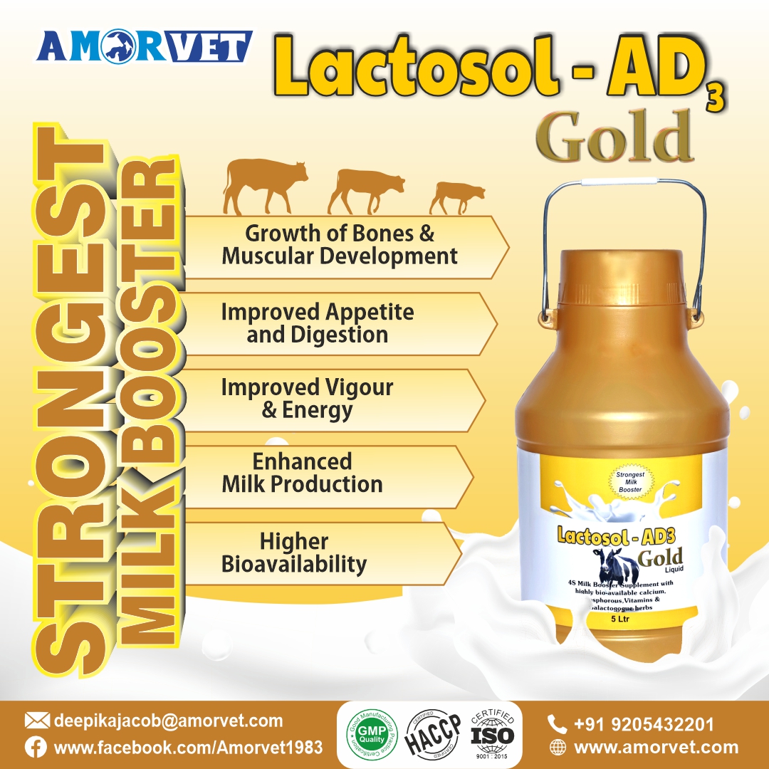Lactosol-AD3 Gold is the strongest #milkbooster #supplement with highly bio-available calcium and phosphorus, vitamins, or galactagogue herbs. Registered Now 092054 32201
#amorvet #amorvetindia #animalfeedsupplement #Lactosol #LactosolLiquid #calcium #LactosolChelated #farmers