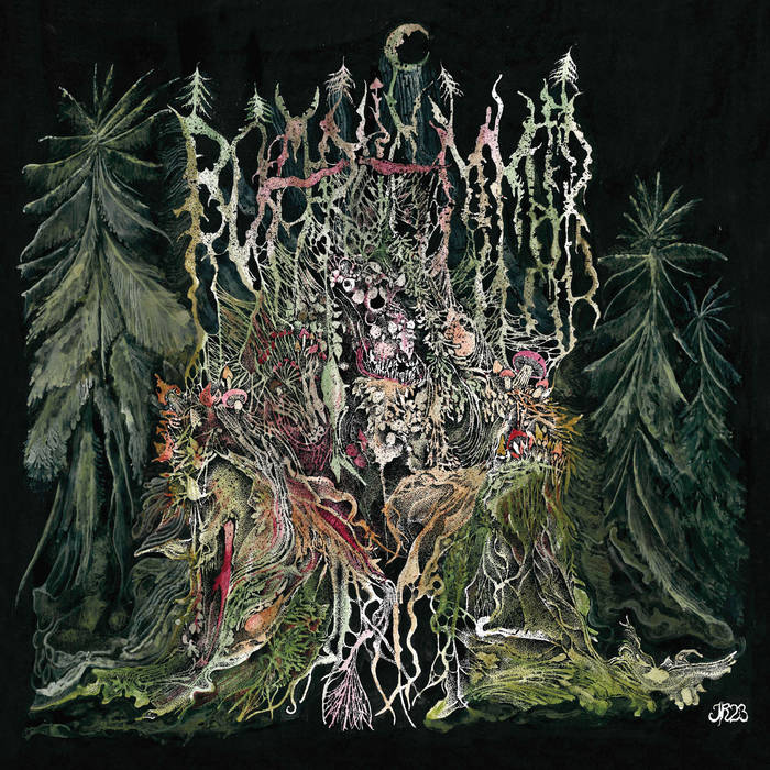 @markyoung27 loves @Exocrine_band while @fuzzdoomrip loves @heaveblooddie I take @TheSurvivalCode as @paulscoblestup has #Boarhammer musipediaofmetal.blogspot.com/2024/01/review… @SeasonofMist @FysiskFormat @viralpropaganda @StampedePressUK @Naturmacht_Prod #newreviews #musicblog #albumreview