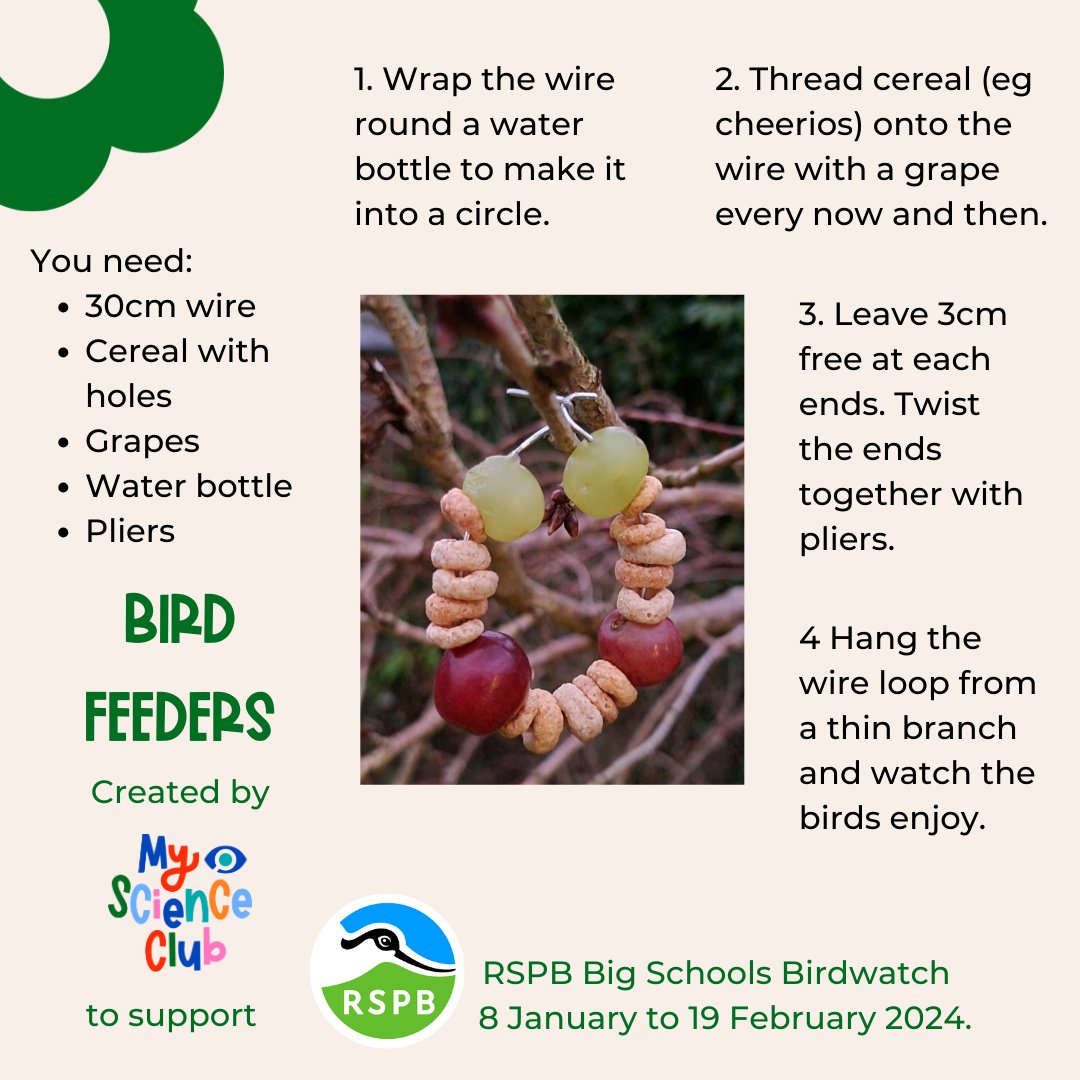 There's still time to get involved with @Natures_Voice Big Schools' Birdwatch. Here's another birdfeeder to attract more birds to your local area. Enter your data at rspb.org.uk/whats-happenin… Join today to access the full member's version bit.ly/JoinMSC23