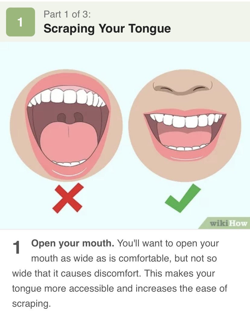 DrMel_'s tweet photo. Step by step guide on how to use a tongue Scraper: https://t.co/TnbErXOlIZ