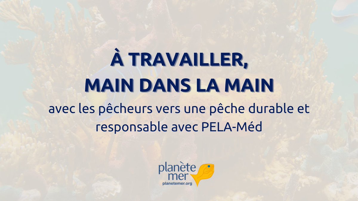 Planète Mer tweet media