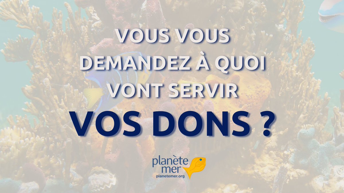 Planète Mer tweet media