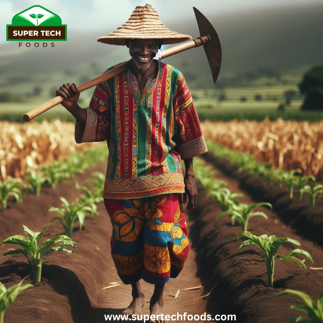 SuperTechFoods's tweet photo. Everyone involved in getting nutritious and safe food to our tables is a food hero!

#FoodHeros #Farmers #Foodsustainability #FoodCrops #HealthyFeeding #9jafarmer https://t.co/4n7Fre0ADM