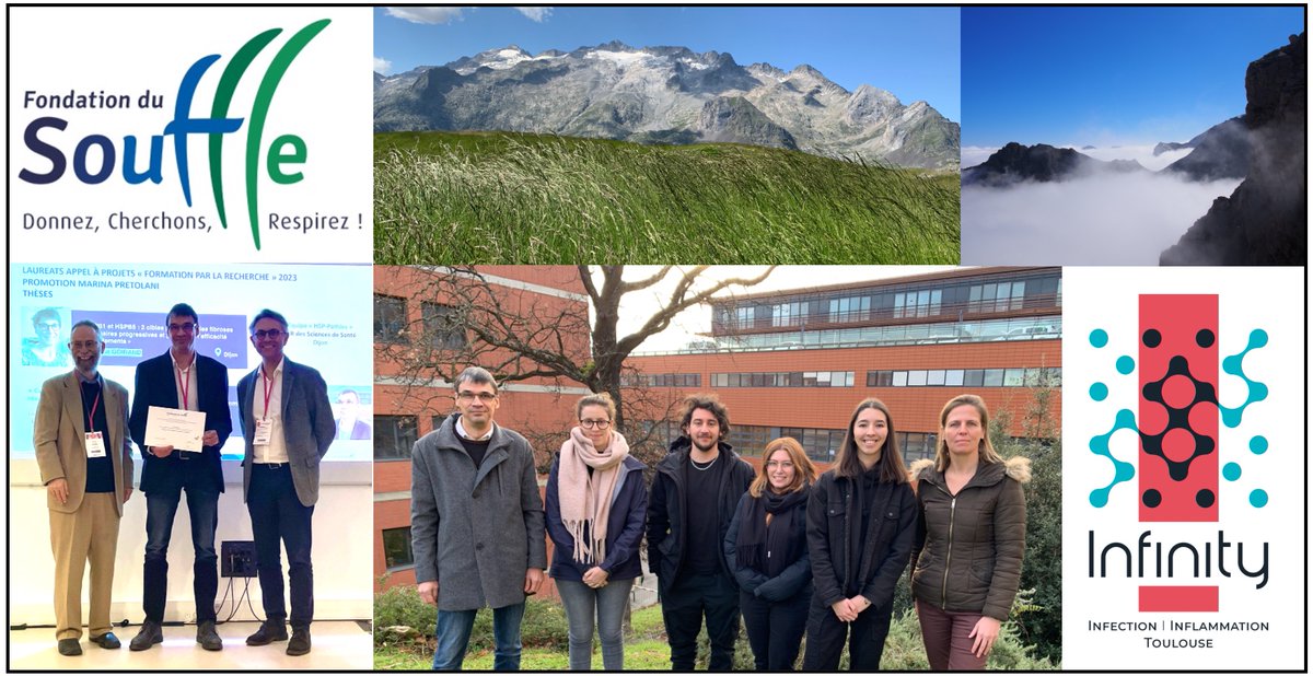 PierreGLutz's tweet photo. Donnez, Cherchons, Respirez !
Un très grand merci aux Donateurs et Donatrices, aux Mécènes, aux Bénévoles et à toute l’équipe de la @FduSouffle
Lauréats 2023–Promotion M. Pretolani
Institut Toulousain des Maladies Infectieuses et Inflammatoires
@InfinityTLS @PierreGLutz @ILamsoul https://t.co/zB4oTtMSBS