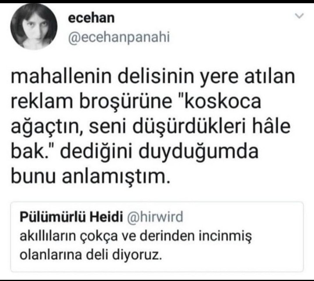 ✨Kübra✨ (@kubrayyyyy) on Twitter photo 