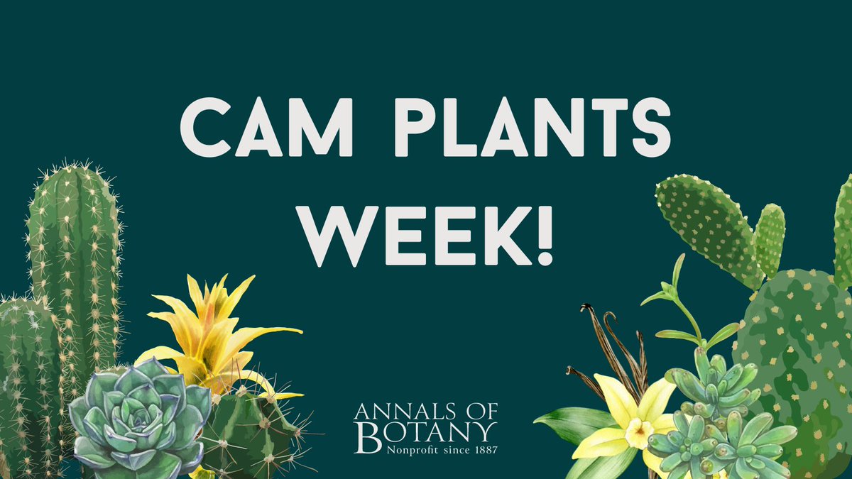 Annals of Botany (@annbot) on Twitter photo 🎉 Welcome to CAM Plants Week at <a href="/annbot/">Annals of Botany</a>!
🌵In the upcoming days, we’ll be sharing with you all the articles included in our recently released Special Issue titled ‘CAM at the Crossroads’
Get ready for a week of groundbreaking articles!
#CAMPlantsWeek 🎉 Welcome to CAM Plants Week at <a href="/annbot/">Annals of Botany</a>!
🌵In the upcoming days, we’ll be sharing with you all the articles included in our recently released Special Issue titled ‘CAM at the Crossroads’
Get ready for a week of groundbreaking articles!
#CAMPlantsWeek