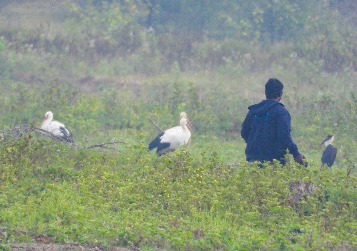 I have always asked - whether the bird are more important or taking their pictures at any cost is?? I have regularly come across some extremely bad birder behavior just in the name of taking a closer, clearer picture - a 'Lifer' perhaps. A picture matters more than the bird…