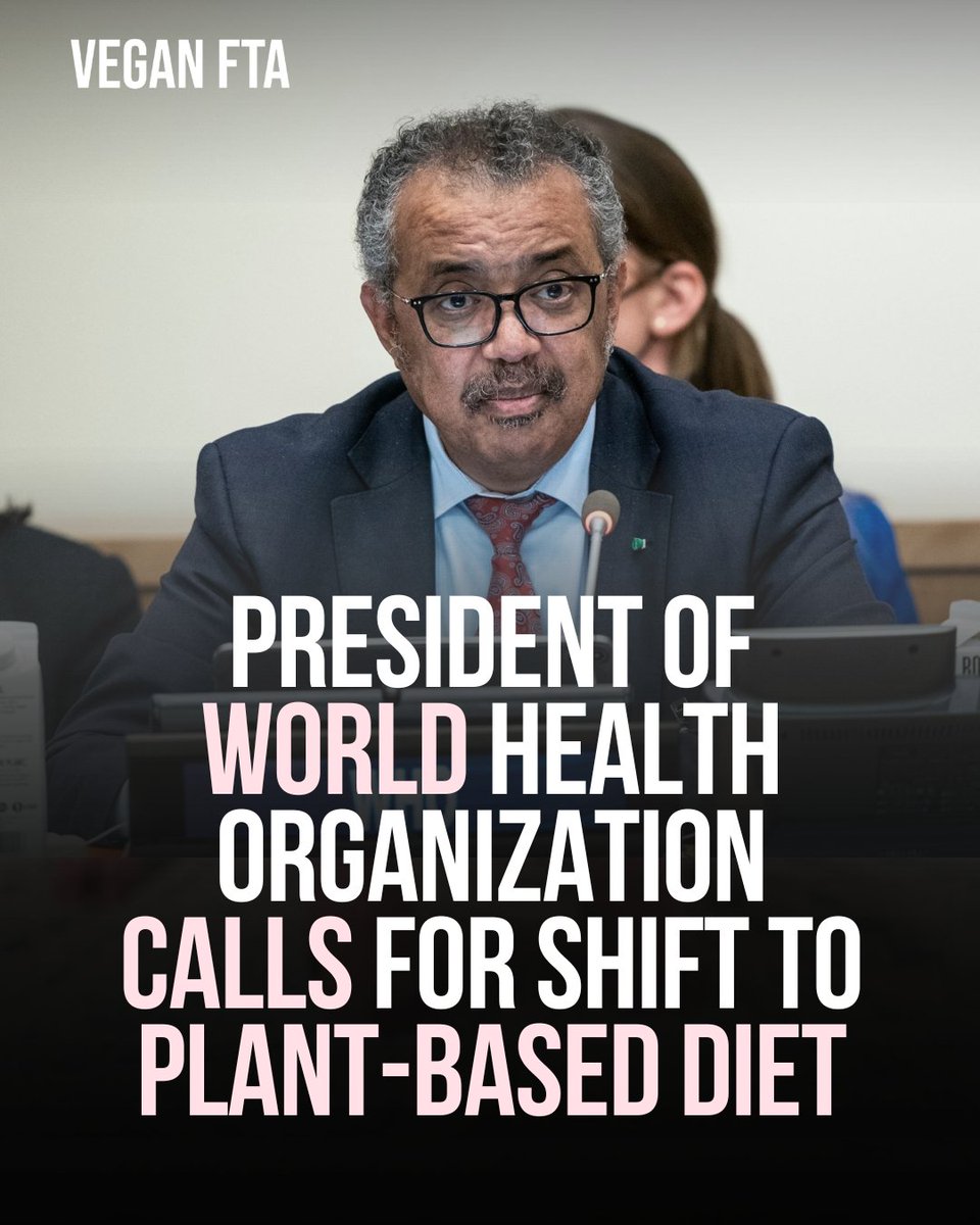 The president of World Health Organization calls for shift to plant-based diet. 👀

👉 Read more: veganfta.com/2024/01/12/pre…

#worldhealthorganisation #healthyfood #plantbaseddiet #climatechange #climateaction