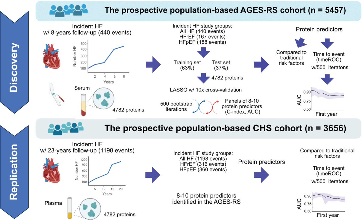 Predicting incident #HF by small circulating protein. Proteomics bring closer the future. doi.org/10.1002/ejhf.3… @HFA_President @_antocannata @escardio @ESC_Journals @HanCardiomd @DjawidHashemi @MarcoMetra @GianluSava @gbiondizoccai @ESC_Lavinia @AntonioJordanR