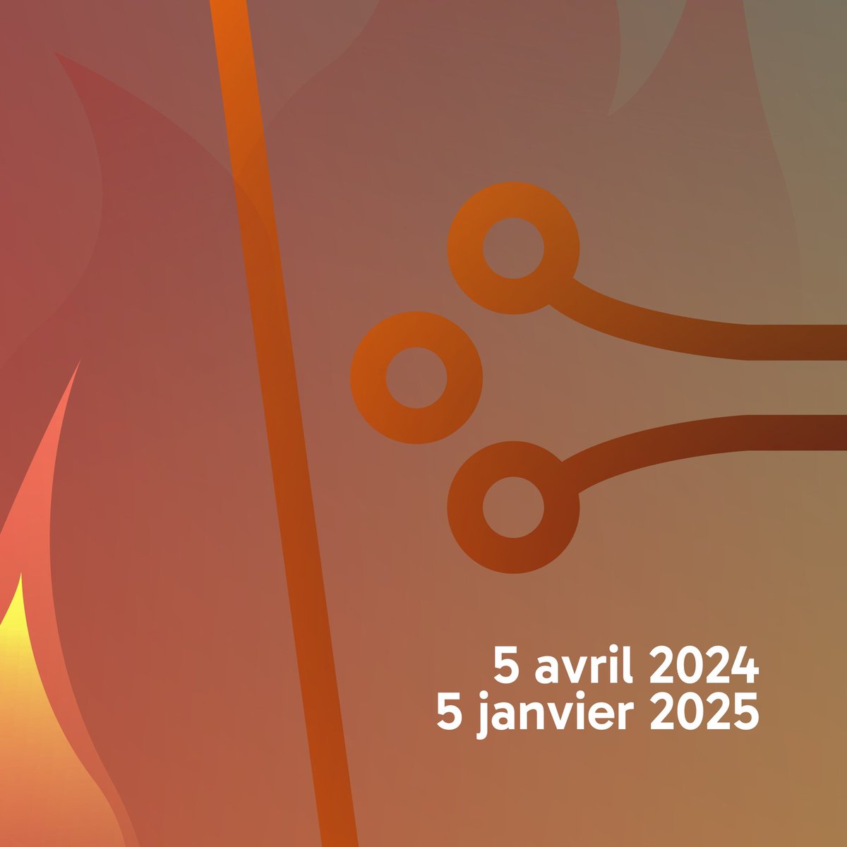 Musée Saint-Raymond tweet media