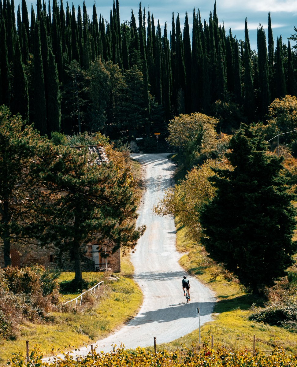 Did you know about the Strade Bianche, also known as white roads? These picturesque unpaved gravel roads stretch across the breathtaking countryside of Tuscany.
⁠
Join us on Feb 27 for the perfect Strade Bianche Experience—ingamba.pro/trip/the-strad…