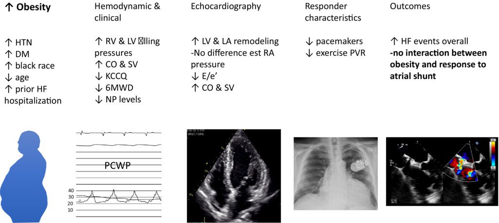 Diagnostic and Therapeutic Implications of #Obesity in #HFpEF. doi.org/10.1002/ejhf.3… @HFA_President @_antocannata @escardio @ESC_Journals @HanCardiomd @DjawidHashemi @MarcoMetra @GianluSava @gbiondizoccai @ESC_Lavinia @AntonioJordanR