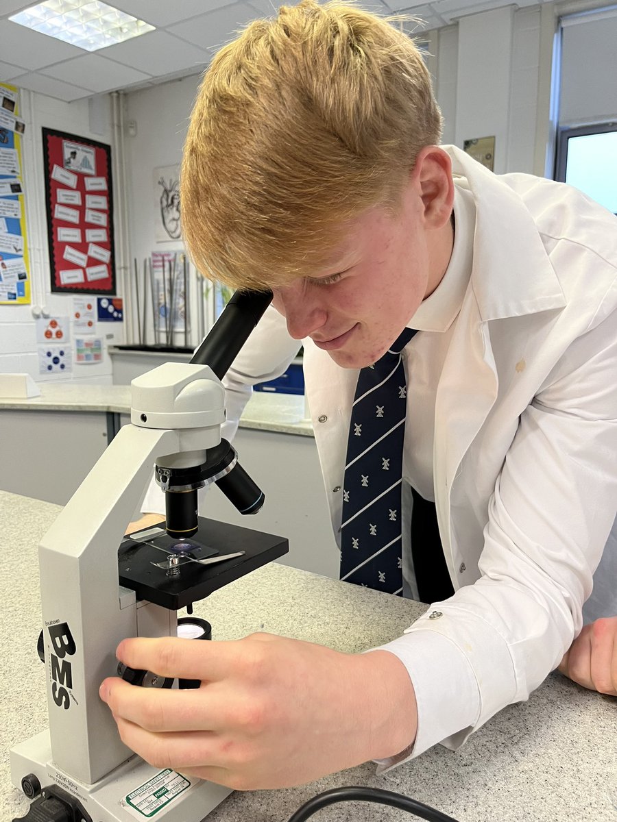 KirkhamGrammar's tweet photo. @KirkhamGrammar Lower Sixth A Level Biology pupils carrying out their second required practical this morning - preparing and observing mitosis in garlic root tips.
#requiredpractical #alevelbiology #preparation #observation #mitosis #lowersixthform @KGSBiology https://t.co/ZGxLd34v9s