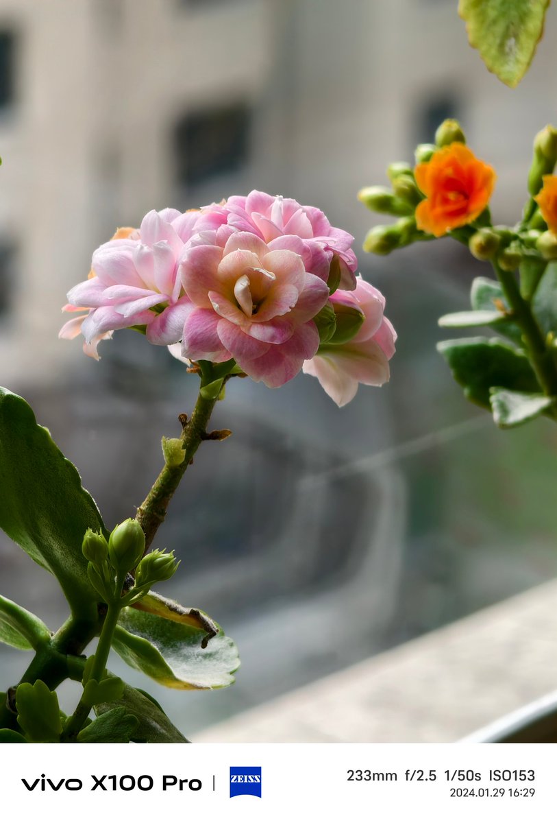 Ice Universe tweet media