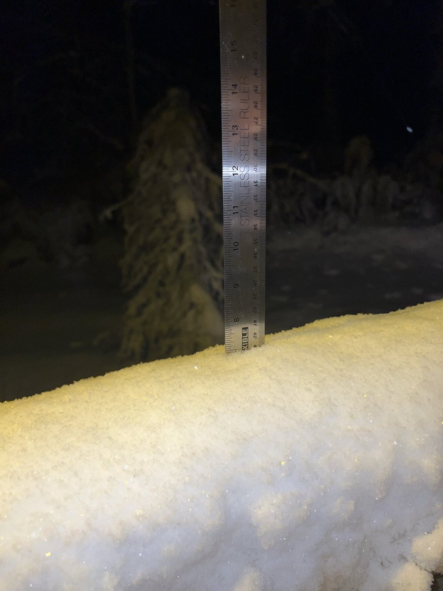 thomasprindle's tweet image. Measured 7” on the deck railing  this morning that was clean yesterday. Pretty, high water content snow here in Wakefield, NH that’s sticking heavy on surfaces and tree branches. #NHWX #snow #weatherupdate #enjoythemoment