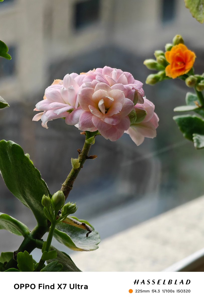 Ice Universe tweet media