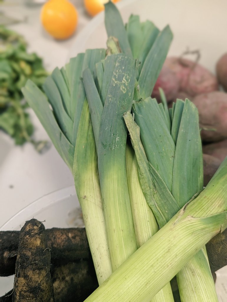 Let's get more muddy veg into school even though budgets don't allow for mud. The difference in taste and experience is essential. Ditch the plastic. Soup making with @OrganicNorth veggies @connect_tha @UKSustain @NoChildBehindUK @FixOurFoodteam @Food_Foundation @EndChildFoodPo1