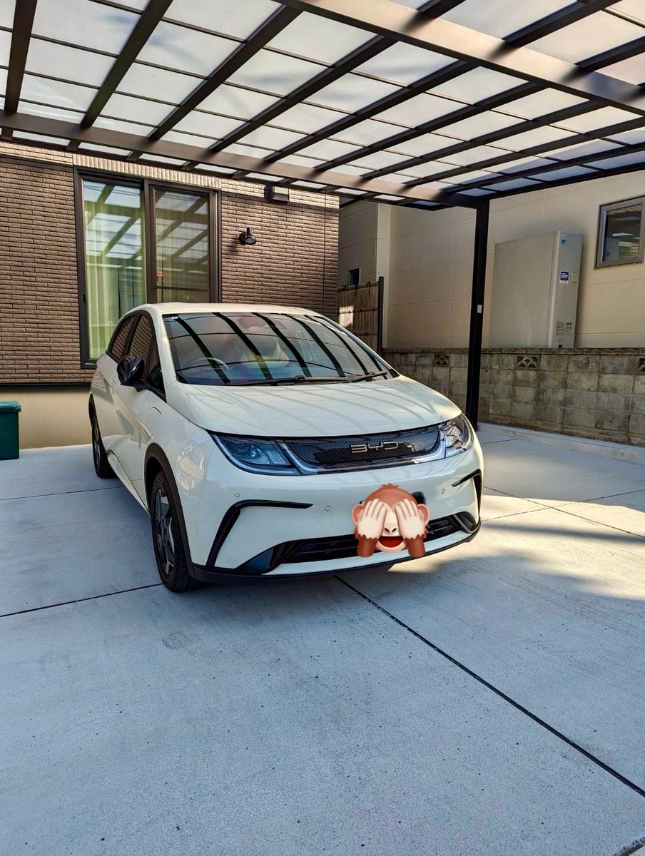 jir0r's tweet photo. ドルフィン納車
妻曰くサイズを間違えたフィット
#byd https://t.co/X8lYxmjRwm
