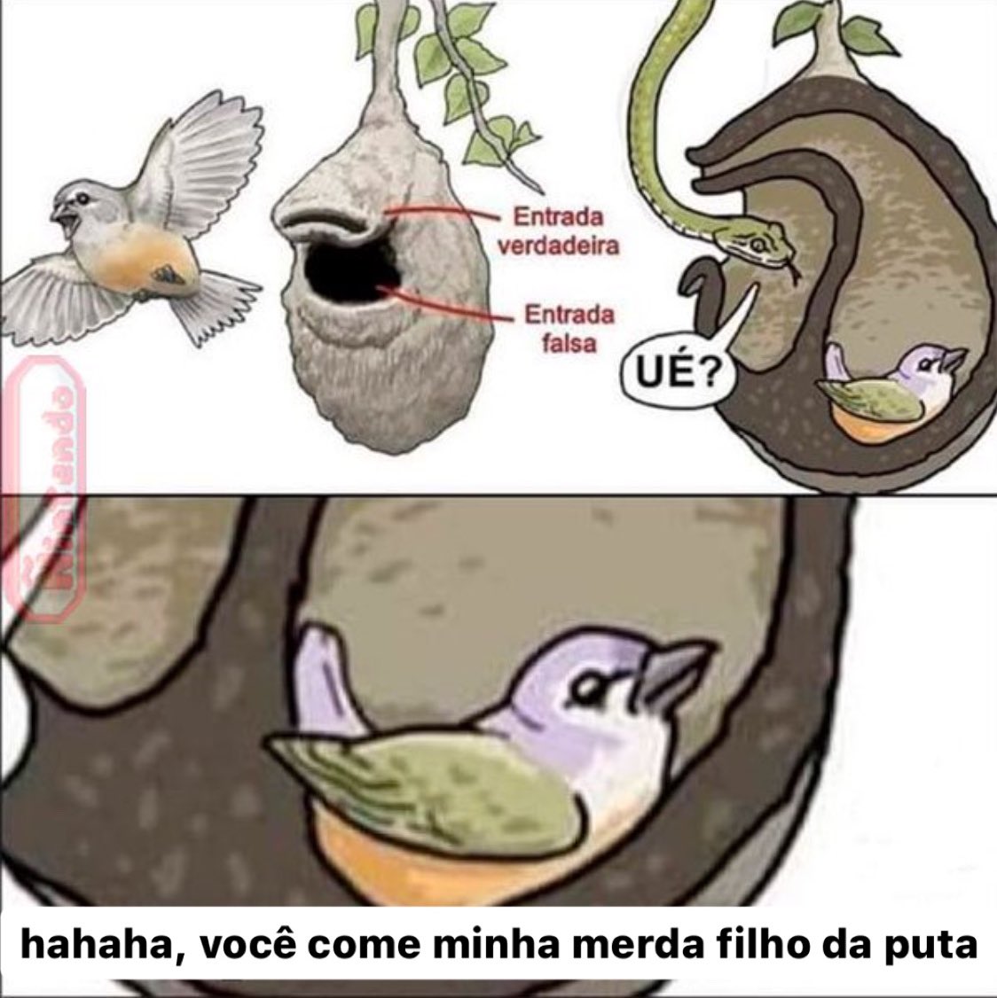 que nunca acaben los memes portugueses🙏