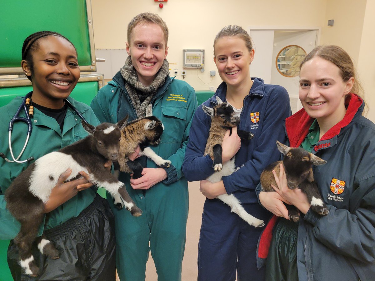 Happy Monday! Check out some of our fab final year vet students getting a cuddle from some baby pigmy goats🐐who visited us from Woodview Farm in Gamlingay this morning! #BeACambridgeVet #vetstudentlife #veterinarymedicine