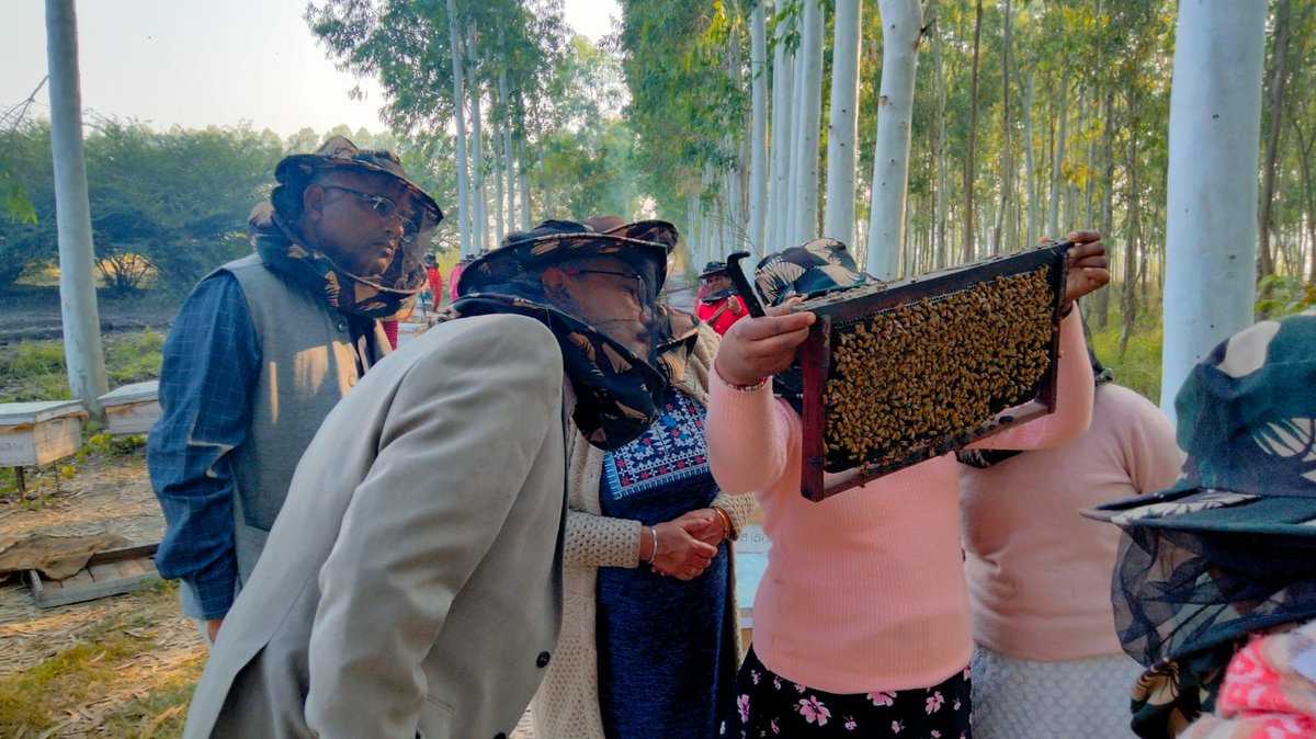 India Frontline tweet media