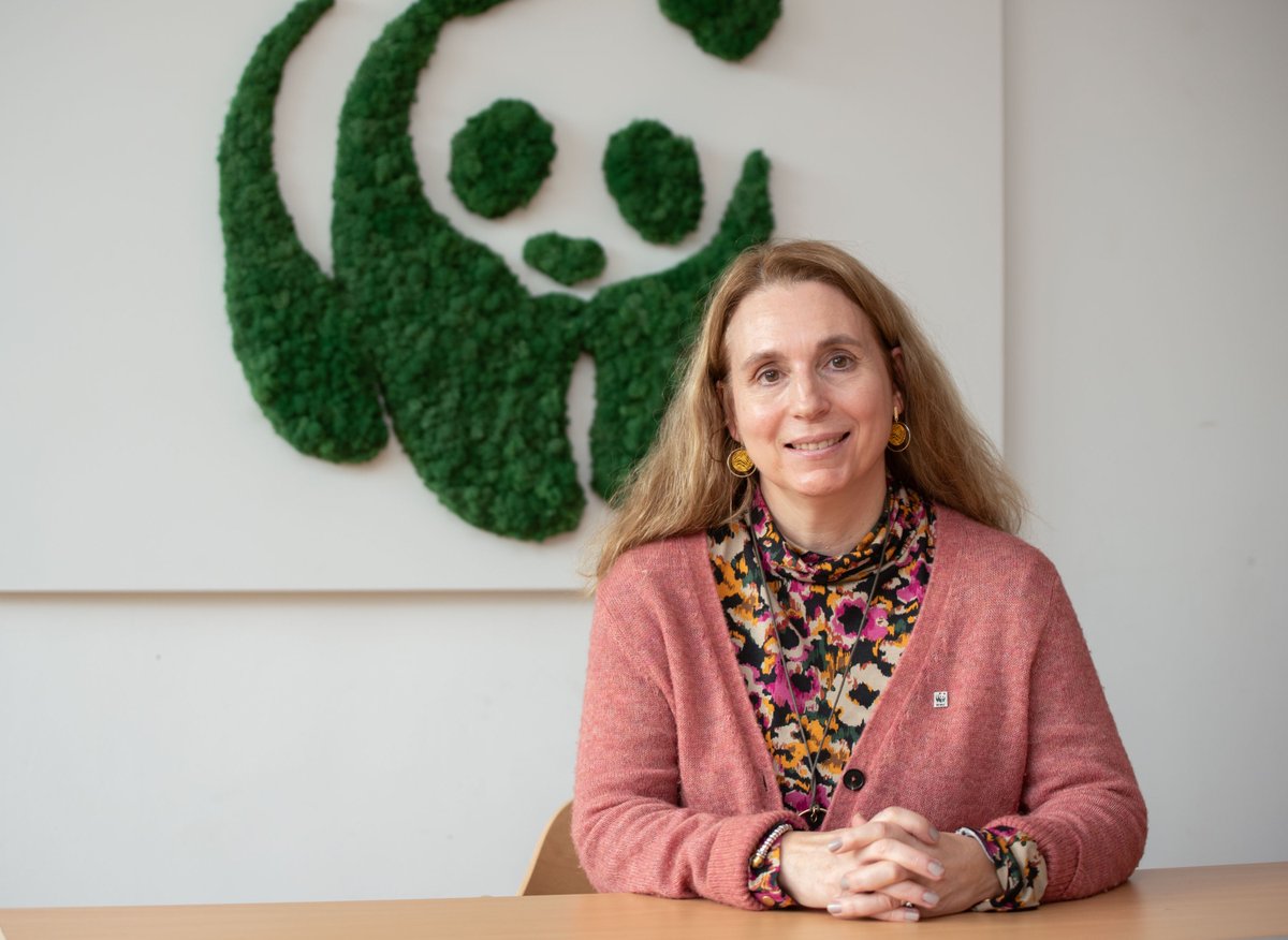 🐼Le <a href="/WWF_Belgique/">WWF-Belgique</a> a une nouvelle directrice générale. Caroline Tsilikounas rejoint l’organisation avec pour ambition de favoriser le financement de la #biodiversité, "crucial pour assurer notre avenir", en impliquant toutes les parties de la société.
👉wwf.be/fr/actualites/…