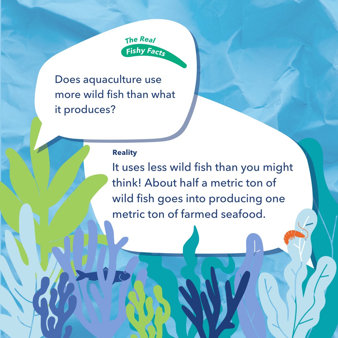 🔍🐟 The Real Fishy Facts 🐟🔍 Myth: Aquaculture uses more wild fish than it produces. 🚫🐠 Reality: About half a metric ton of wild fish goes into producing one metric ton of farmed seafood. 📈🍽️ #AquacultureMyths #SustainableAquaculture #aquaculture #aquafeed