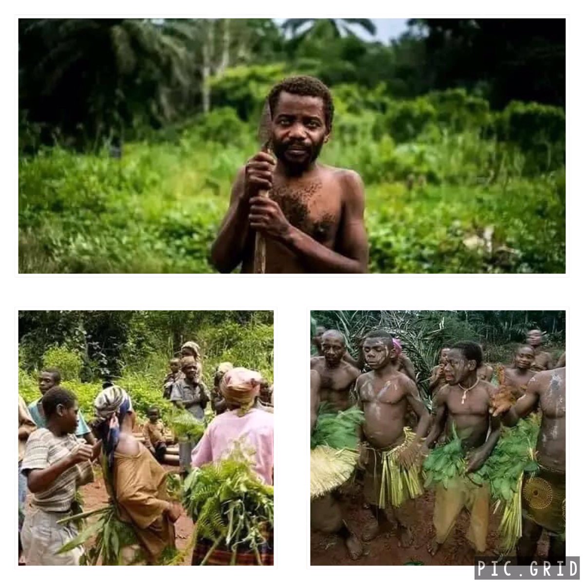 HildegardeMigue's tweet photo. Scènes de vie dans un campement BAKA, Longtimbi près de #Dimako
Home sweet home 😊 https://t.co/CCxcXrO4N1