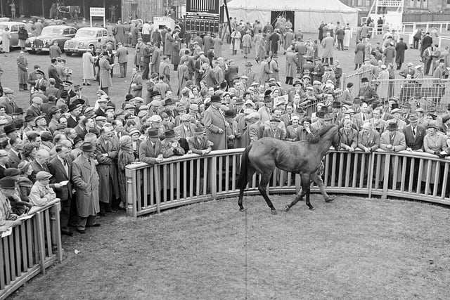 Any bids for the Musselburgh winner? 1957