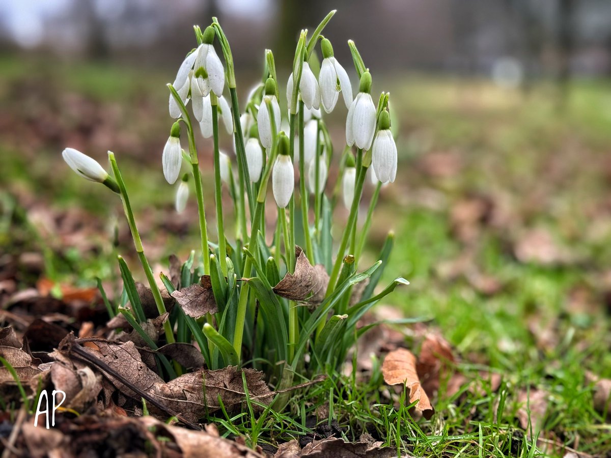 Dr.P_78Glasgow tweet media