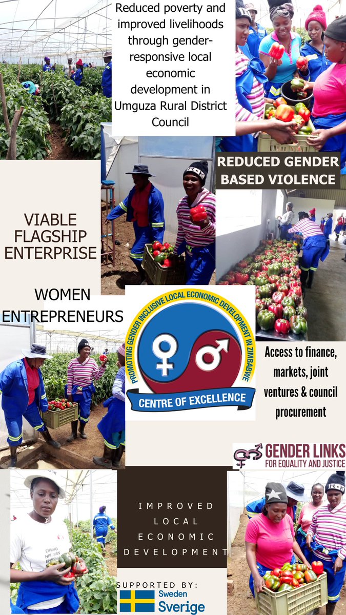 The promotion of gender inclusive local economic development in Umguza District is being achieved through the utilisation of the horticulture value chain. @umguzardc @MasvingoCity @MutareCity @nortontown @ManyameR @mwacsmed @MoLGPWZim SUPPORTED BY: @SwedeninZW