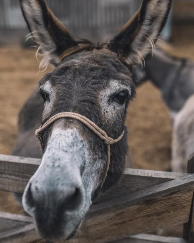 Centre for Religion, Health and Wellbeing tweet media