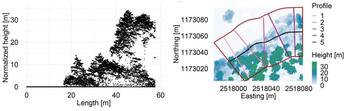Assessing the structure of #forest 🌳🌲edges is key for understanding their ecological value and supporting a purposive management. See the latest paper @MoBruggisser how to do it with standard leaf-off airborne laser scanning data:
doi.org/10.1016/j.ecol…