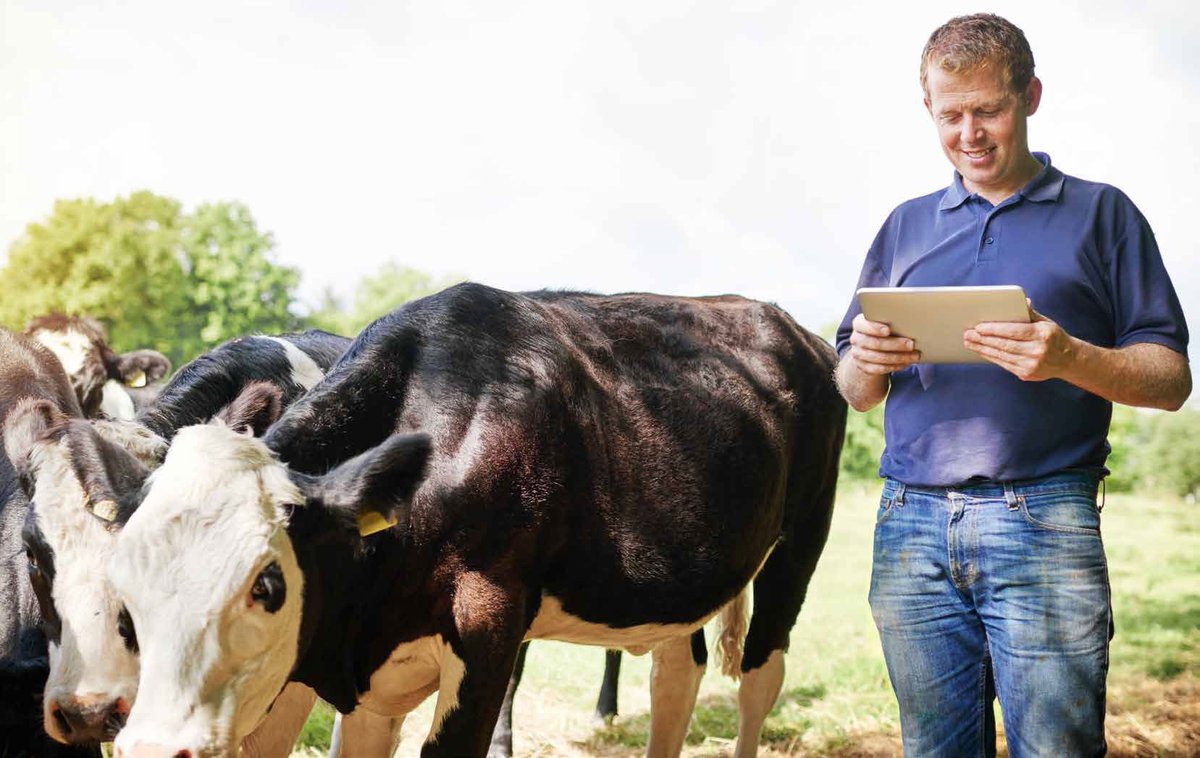 ifac_ireland's tweet photo. ๐ฑNoreen Lacey, Head of Banking, explores dairy farmers' challenges adapting to reduced nitrogen limits in our Irish Farm Report, impacted by recent Nitrates Action Plan changes.
๐ Read the full article here: https://t.co/W9810zahrM
#ifacReport #NitrogenLimits #IrishFarming https://t.co/9m8qkCXnoP