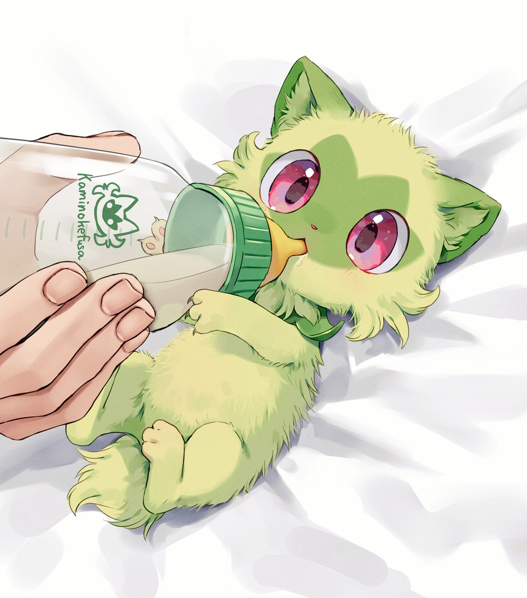 赤ちゃんニャオハ🍼