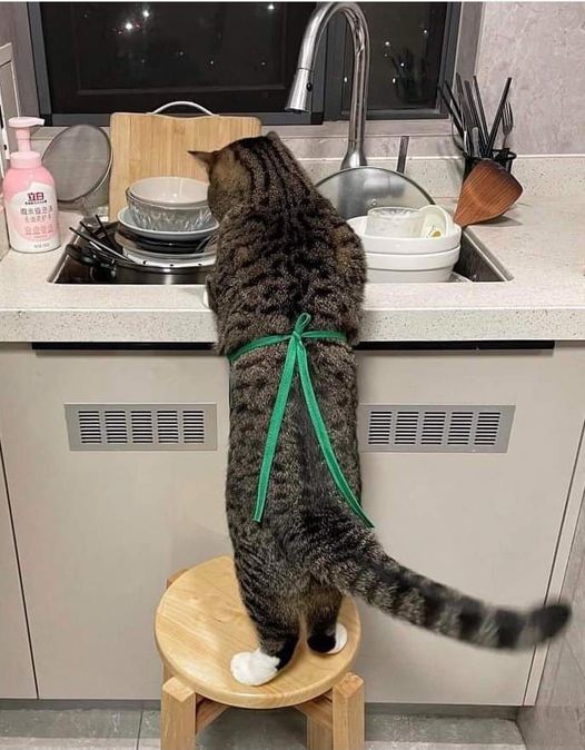 tiimaaa's tweet photo. Housework https://t.co/6HTysb9f85
