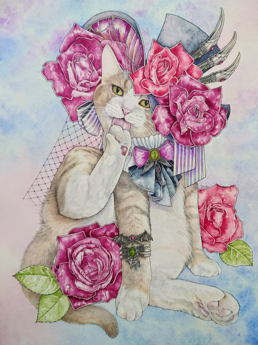 no humans flower cat hat rose traditional media animal focus  illustration images