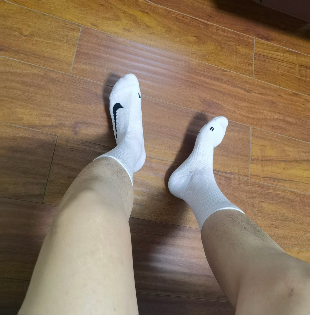 古哼哼 tweet media