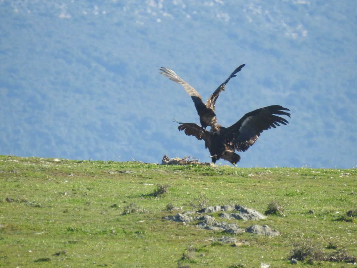 360 Soluciones Cambio Climático tweet media
