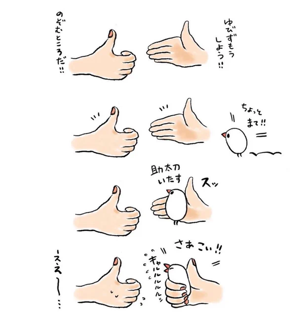 明日も20〜21時にイラスト投稿します🐦
『指相撲の助太刀するぶんちょ』(再掲) 