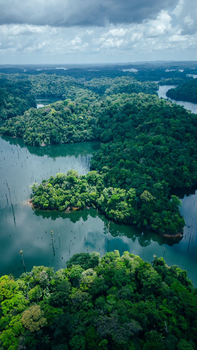 hellolaroux tweet media