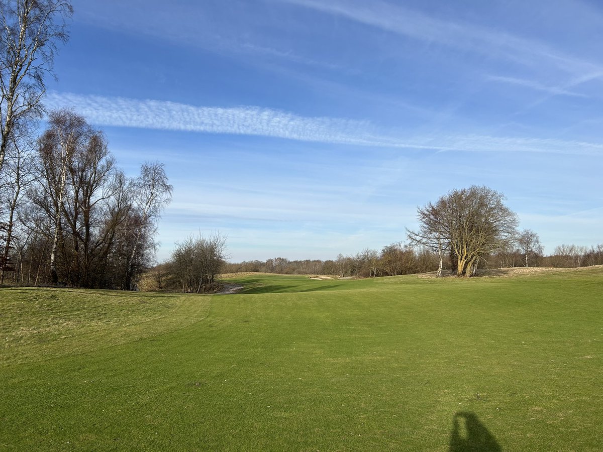 The Scandinavian tweet media