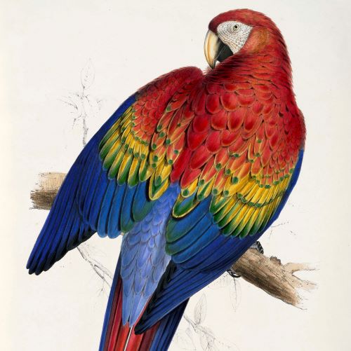 SHNH (@shnhsocnathist) on Twitter photo CALL FOR PAPERS We're delighted to be hosting our International Summer Conference on Thursday 13 June 2024 <a href="/Museum_Cardiff/">Amgueddfa Caerdydd</a>. We welcome papers on 'The Palette of Nature'. Submit your abstract by 15 March 2024. #NaturalHistory Full details: shnh.org.uk/all-events/cal… CALL FOR PAPERS We're delighted to be hosting our International Summer Conference on Thursday 13 June 2024 <a href="/Museum_Cardiff/">Amgueddfa Caerdydd</a>. We welcome papers on 'The Palette of Nature'. Submit your abstract by 15 March 2024. #NaturalHistory Full details: shnh.org.uk/all-events/cal…
