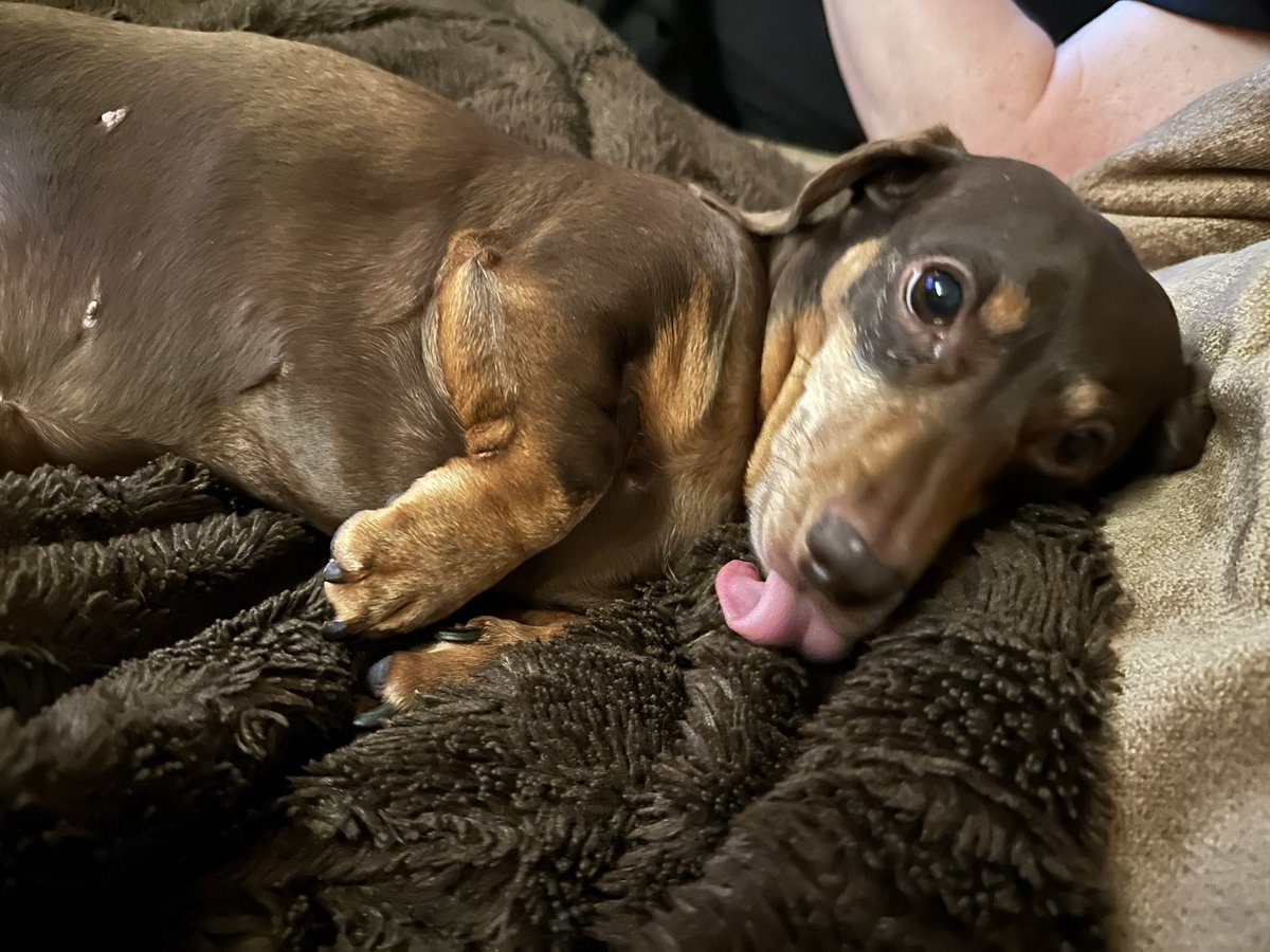 Janey Godley tweet media