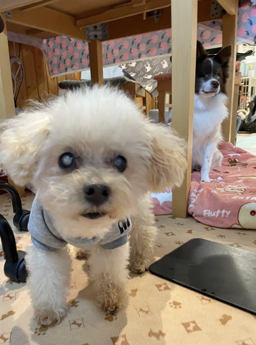 LuckyStar111222's tweet photo. きたきた😂

\なちがとどいたってきいたんだけど/ https://t.co/DZOy3V6WQb