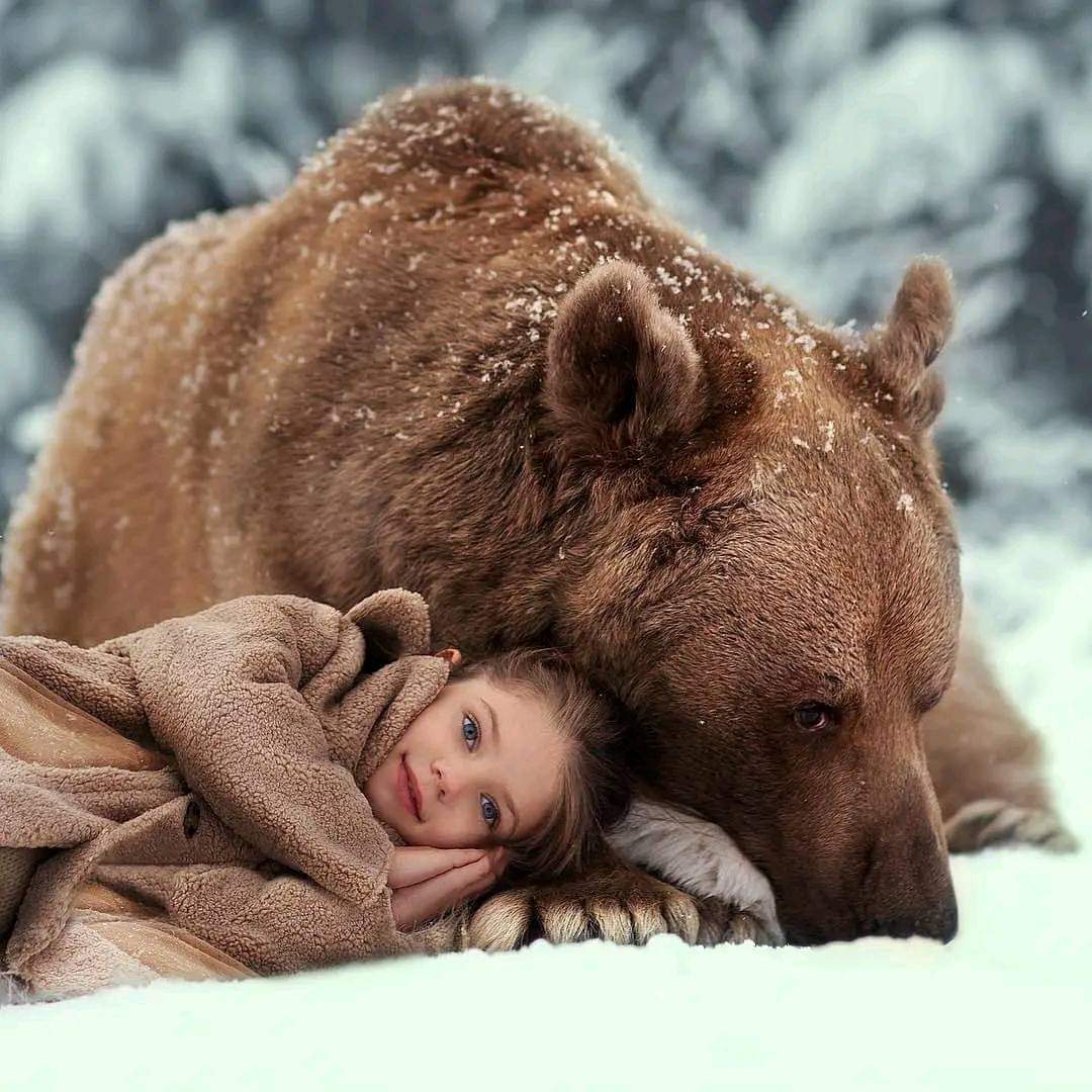 سوف يأتي يوم تدرك فيه أن طيّ الصفحة هو أفضل شعور في العالم .. !
لأنك سوف تدرك أن هناك بالكتاب ما هو أكثر بكثير من تلك الصفحة التي كنت عالقاً بها…