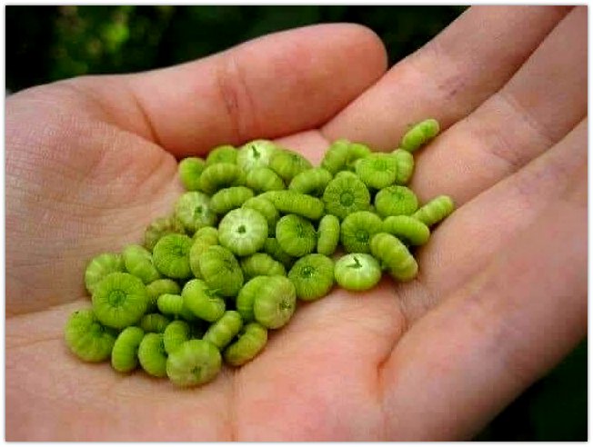 Nostalgia tweet media